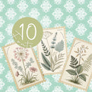 Kit Digital Jardim da Duquesa – Cliparts, Papéis Digitais e Fontes