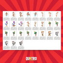 Kit Digital Toon Friends • Looney Tunes – Cliparts, Papéis Digitais e Fontes