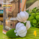 Caixa Moana 2 – Detalhes