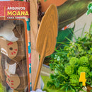 Caixa Moana 2 – Personagens