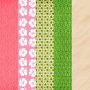 Moana – Kit Digital